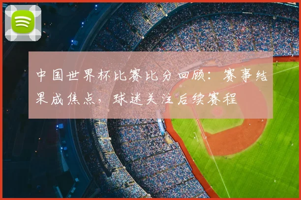 中国世界杯比赛比分回顾:赛事结果成焦点,球迷关注后续赛程