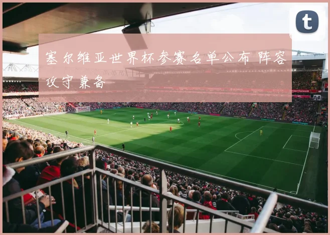 塞尔维亚世界杯参赛名单公布 阵容攻守兼备
