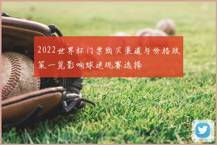 2022世界杯门票购买渠道与价格政策一览影响球迷观赛选择