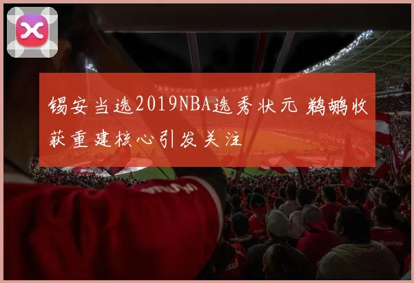 锡安当选2019NBA选秀状元 鹈鹕收获重建核心引发关注