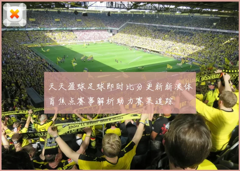 天天盈球足球即时比分更新新浪体育焦点赛事解析助力赛果追踪